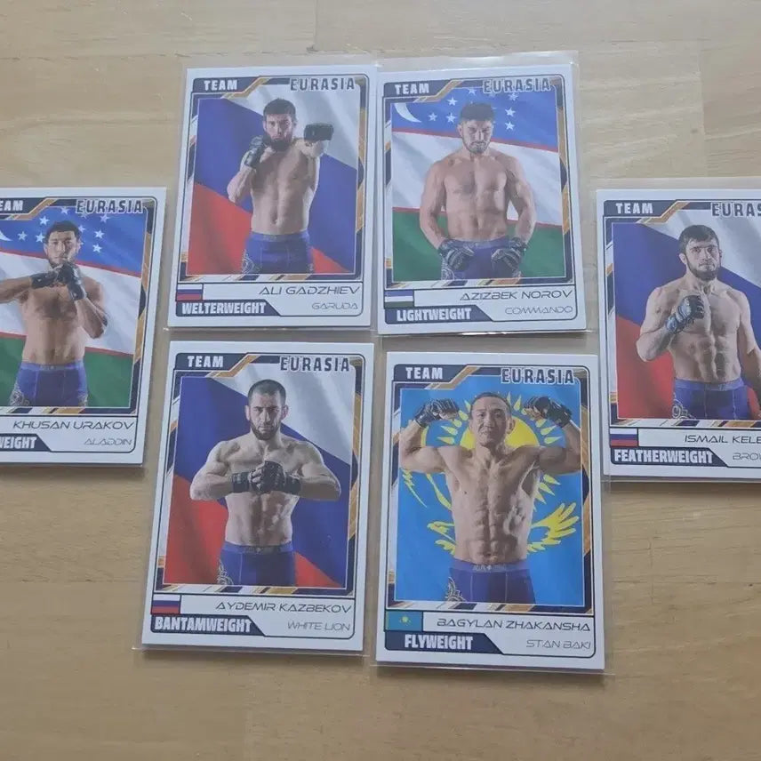 [BUNJANG] Black Combat Story Card Black Cup Eurasia Full Set / 블랙컴뱃 이야기 카드 블랙컵 EURASIA 유라시아 전종