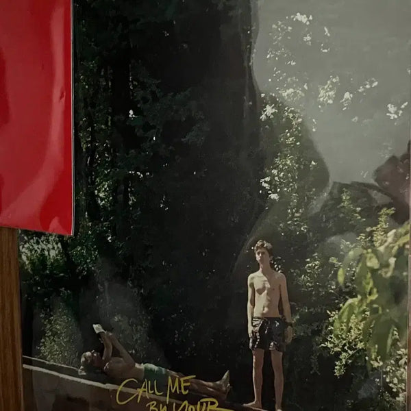 [BUNJANG] Call Me By Your Name Timothée Chalamet Main Poster / 콜미바이유어네임 콜바넴 티모시 샬라메 매인 포스터