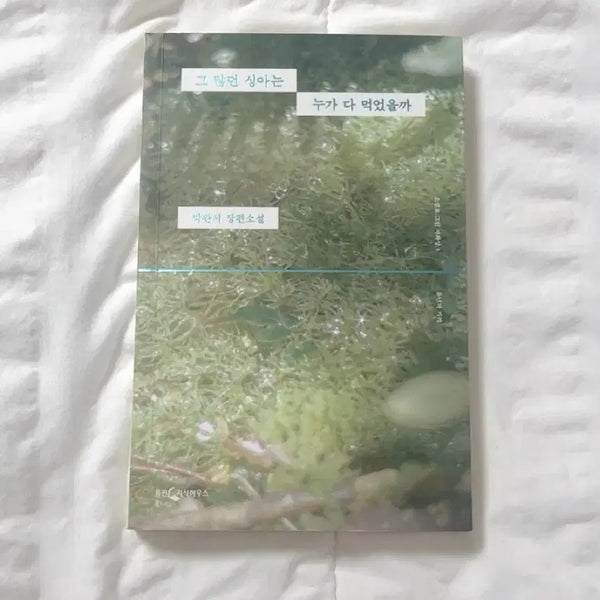 [BUNJANG] Who Ate All the Young Mangoes? / 그 많던 싱아는 누가 다 먹었을까