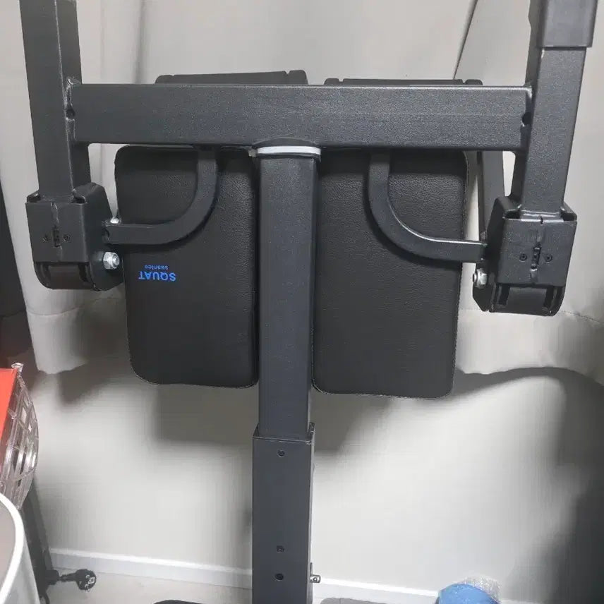 [BUNJANG] 숀리 (Shaun Lee) Squat Machine with Mat / 숀리 스쿼트 머신