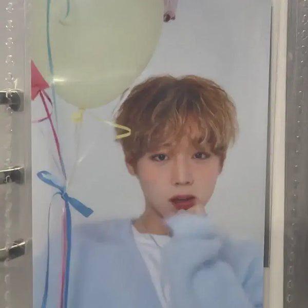 [BUNJANG] Park Jihoon Birthday Boy Birthday Cafe Photo Package Photocard / 박지훈 Birthday Boy BIRTHDAY CAFE 포토 패키지