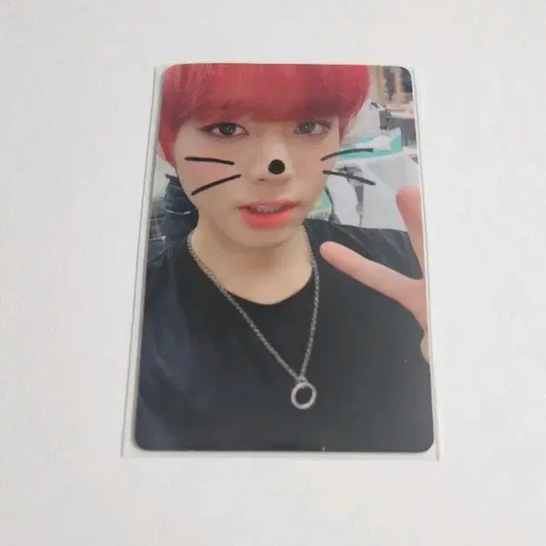 [BUNJANG] Park Jihoon Wanna One With Drama Photocard / 박지훈 워너원 위드드라마 포토카드