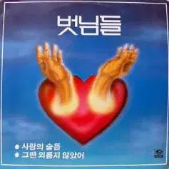 [BUNJANG] Lee Chi Hyun & Friends (Sorrow of Love / Not Lonely Then) Vinyl Record / 이치현과 벗님들 (사랑의 슬픔/그땐 외롭지 않았어)