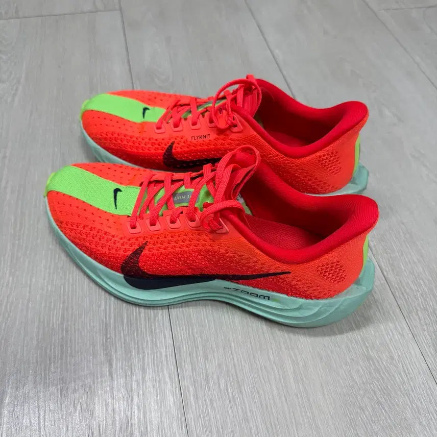 [BUNJANG] Nike Pegasus Plus Running Shoes / 나이키 러닝화 페가수스 플러스