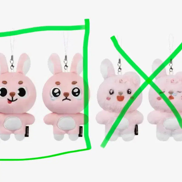[BUNJANG] DAY6 Wonpil Bundle Set Keyring / 데이식스 원필 일괄 양도