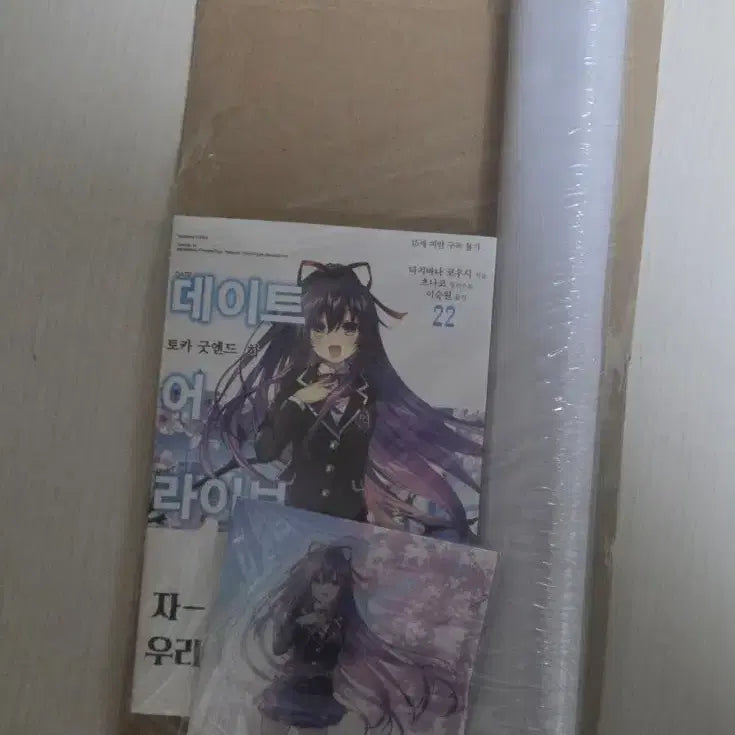[BUNJANG] Date A Live Volume 22 Special Edition / 데이트어라이브22권 특별판