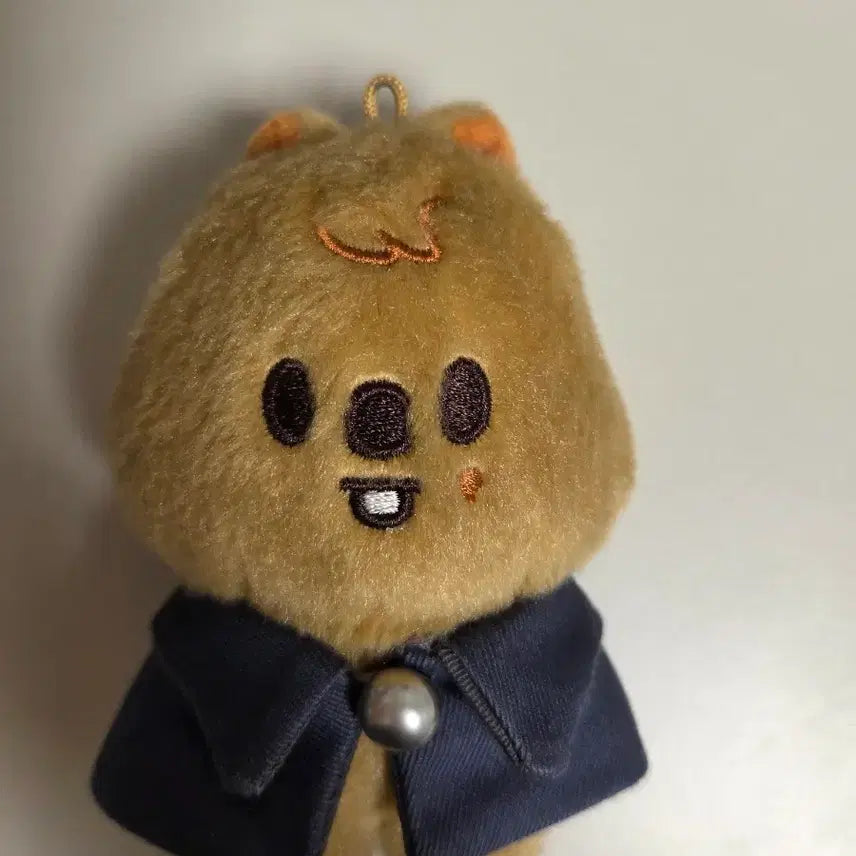 [BUNJANG] Stray Kids Skzoo Plush Magic School Hankwokka 10cm / 스트레이키즈 스키주 플러시 매직스쿨 한쿼카 10cm 콩키주