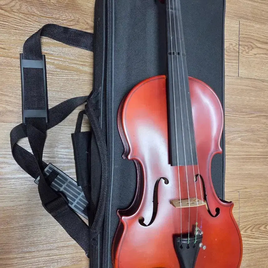[BUNJANG] Shilloh Antonio 4/4 Full Size Violin SN-400 / 심로 안토니오 바이올린 4/4 성인용