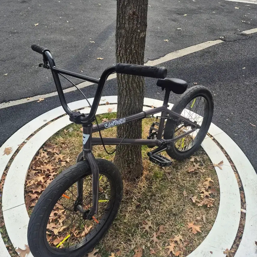 [BUNJANG] Dark Gray BMX Bicycle / BMX 자전거 다크 그레이
