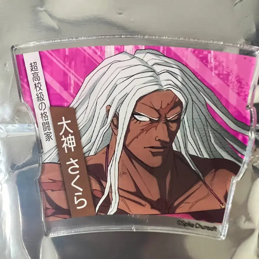 [BUNJANG] Danganronpa Sakura Acrylic Puzzle Coaster / 단간론파 사쿠라 아크릴 퍼즐 코스터