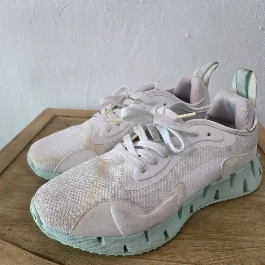 [BUNJANG] Reebok Zig Dynamica Sneakers / 리복 운동화 270
