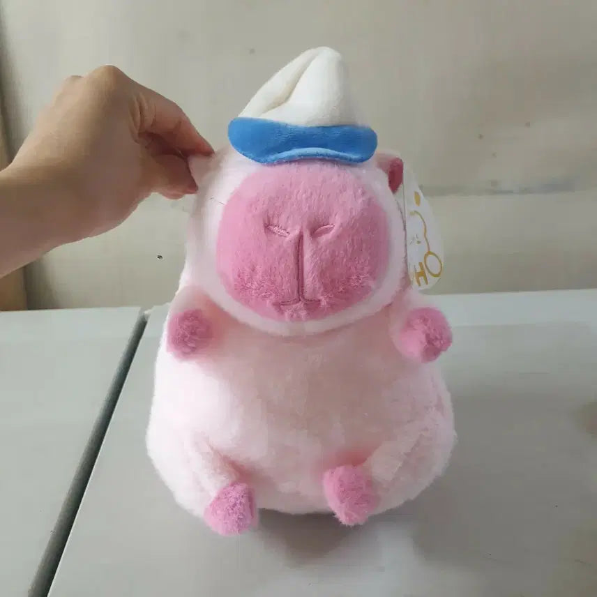[BUNJANG] Capybara Pouch Plush Toy 30cm / 새것 카피바라 파우치 인형 카피바라인형 30cm