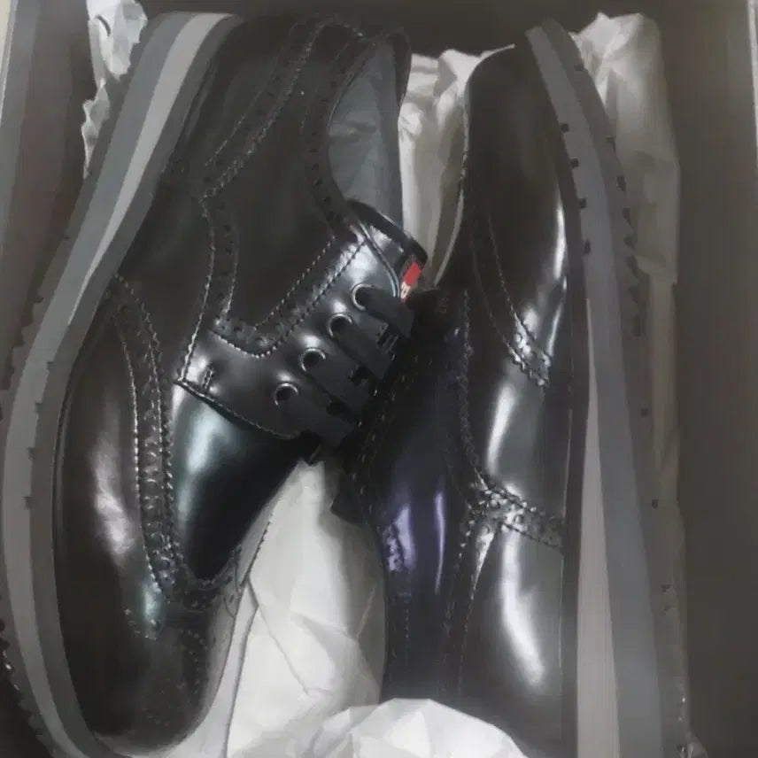 [BUNJANG] Prada Wingtip Patent Leather Shoes Black / 프라다 윙팁 유광 블랙