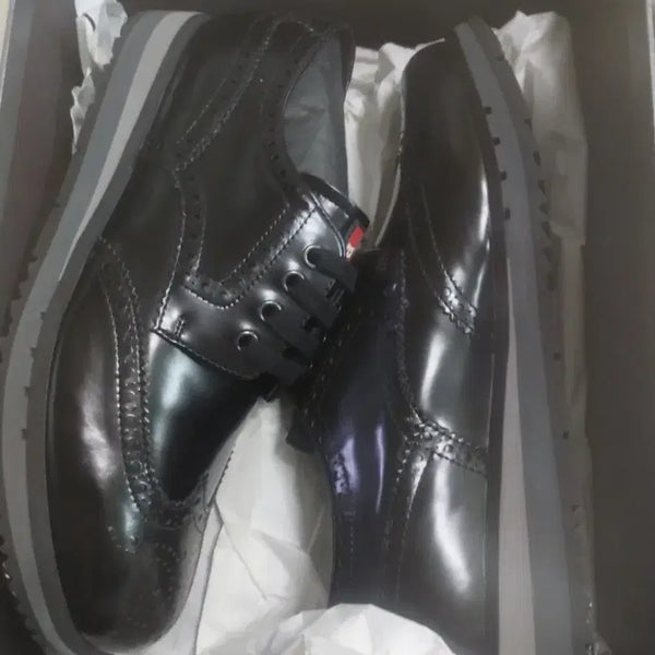 [BUNJANG] Prada Wingtip Patent Leather Shoes Black / 프라다 윙팁 유광 블랙