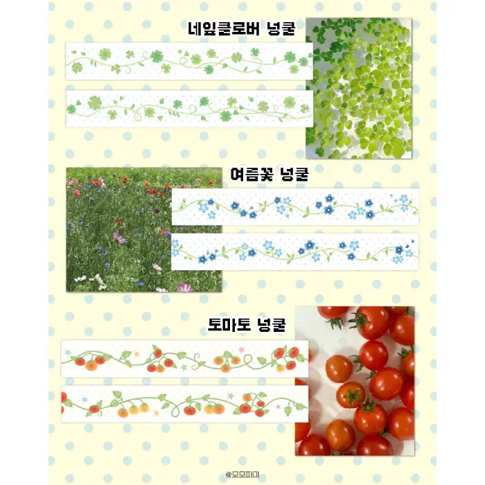 [BUNJANG] Momo Fami Vine Series Washi Tape Set (3 Designs) / 모모파미 넝쿨 시리즈 마테 3종