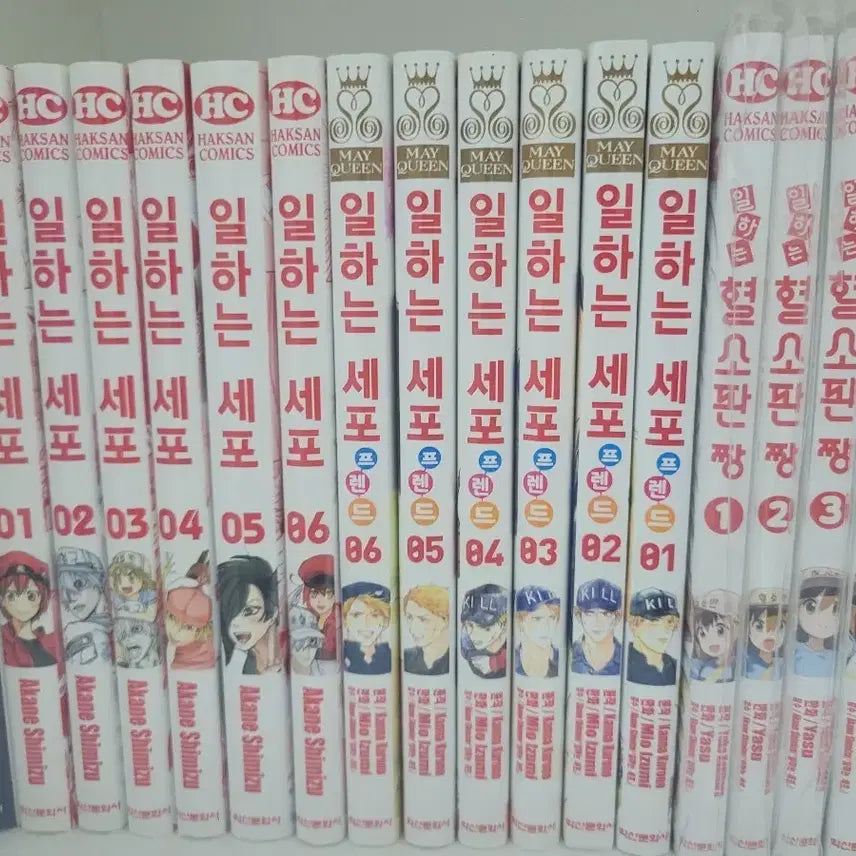 [BUNJANG] Cells at Work! Complete Manga Set, Friend, Platelets / 일하는 세포 만화책 전권, 프렌드, 혈소판