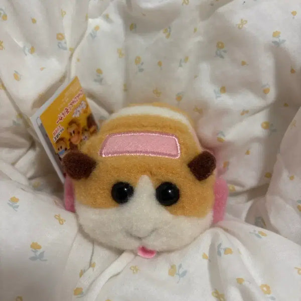 [BUNJANG] Morooka Potato Avi Bundle Set / 모루카 포테토 아비 일괄