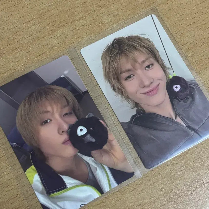 [BUNJANG] Curtiz Martin Azai TNT Photocard Bundle Set / (일괄) 코르티스 마틴 아사이 TNT 포카 포토카드