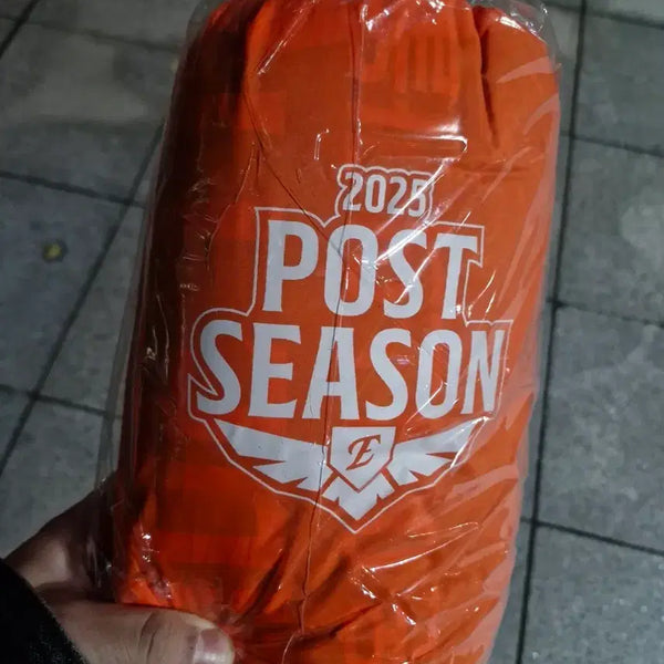 [BUNJANG] Hanwha Eagles 2025 Postseason Padded Blanket / 한화이글스 패딩 담오