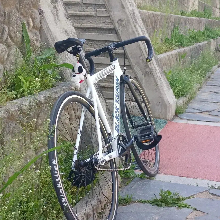 [BUNJANG] Blacktapan Pixie Bicycle / 블랙타이판 브래쉬 픽시자전거