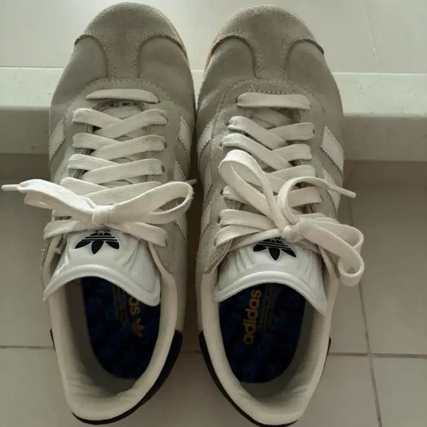 [BUNJANG] Adidas Golf Gazelle Golf Shoes / 아디다스골프 가젤골프화 220사이즈