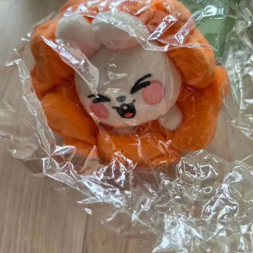 [BUNJANG] Stray Kids SKZOO Rabbit Pencil Case / 스트레이키즈 스키즈 스키주 필통 리빗