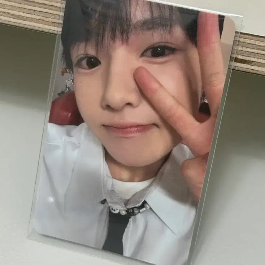 [BUNJANG] NCT WISH Sakuya Steady Keyring Photocard / 엔시티위시 사쿠야 스테디 키링 포카 양도
