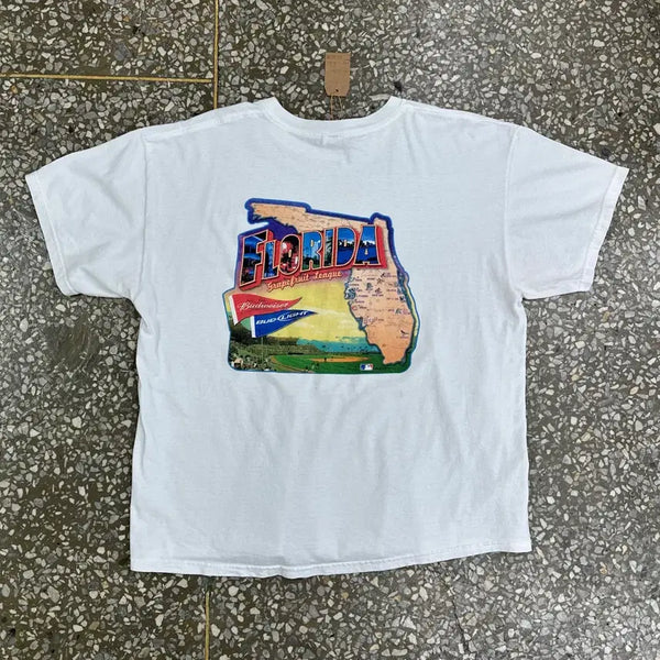 [BUNJANG] 2000s MLB Grapefruit League T-Shirt XL / 00s MLB 자몽 리그 티셔츠 XL