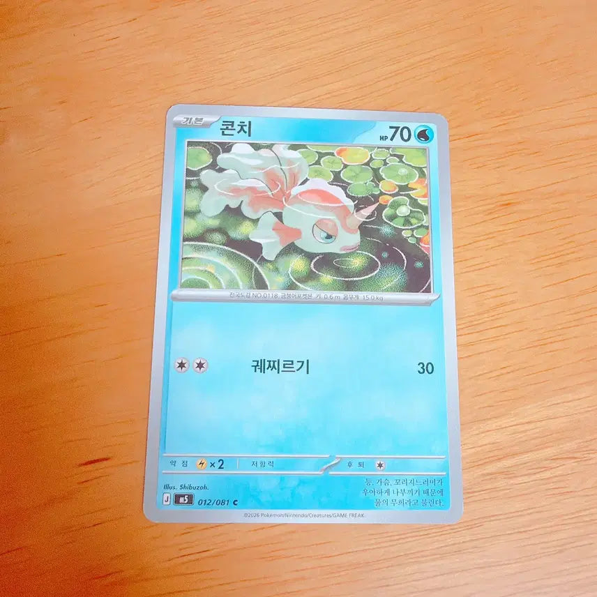 [BUNJANG] Pokemon Card Conchi / 포켓몬 카드 콘치
