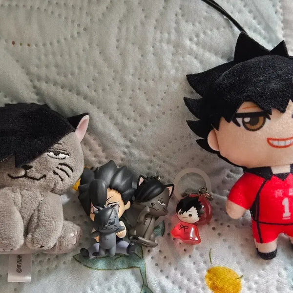 [BUNJANG] Haikyuu!! Tetsuro Kuroo Doll & Megurushi Gacha Bundle Set / 하이큐 쿠로오 테츠로 인형 메지루시 가챠등 5종일괄