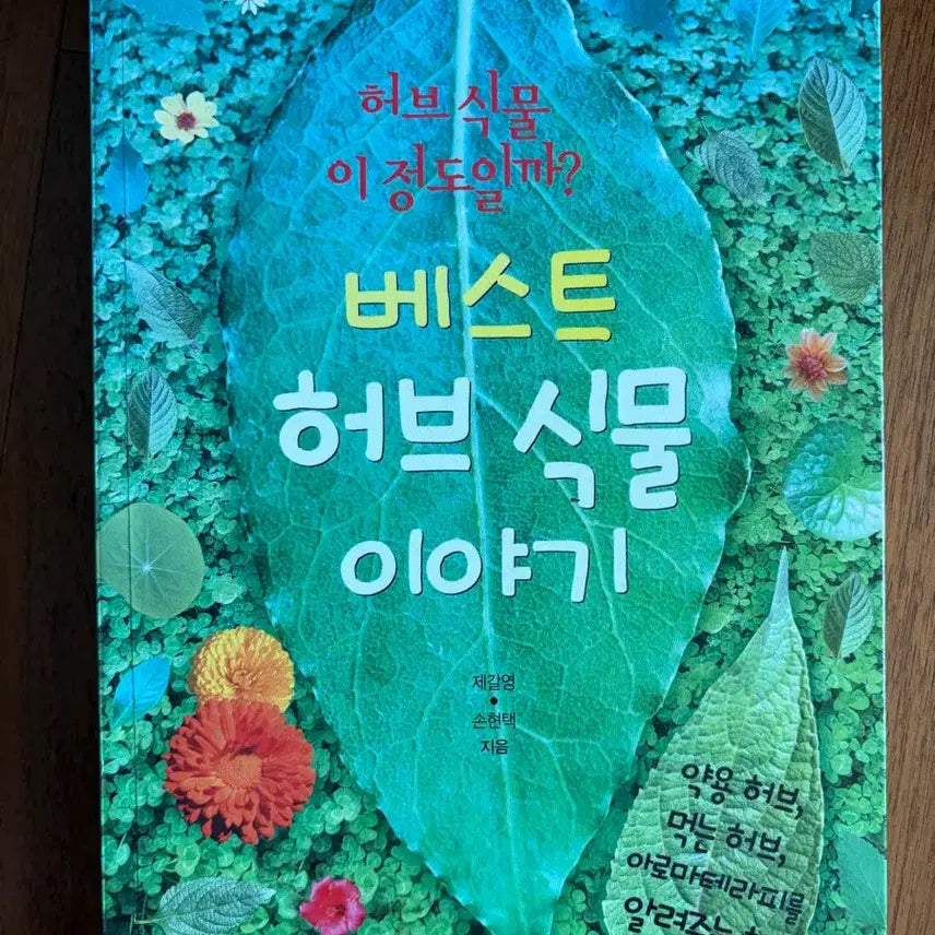 [BUNJANG] Best Herb Plant Stories / 베스트 허브 식물 이야기