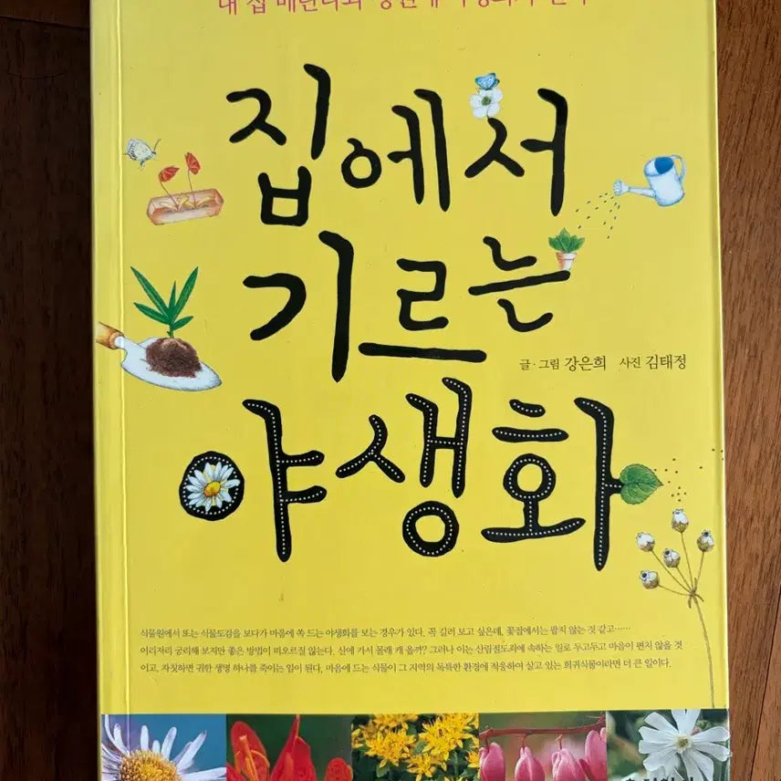 [BUNJANG] Wildflowers for Home Cultivation / 집에서 기르는 야생화