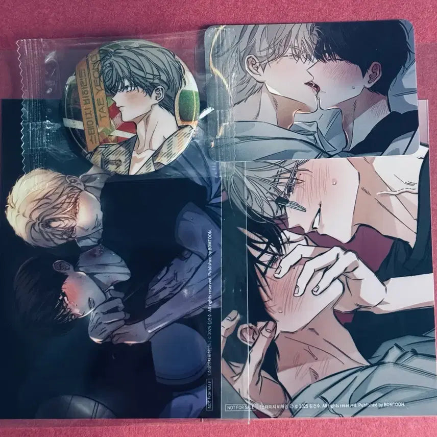 [BUNJANG] Stage Behind Homeparty Skinship Header Photocard and Badge Bundle Set / 스테이지비하인드 홈파티 스킨십 헤더 포카 뱃지 양도