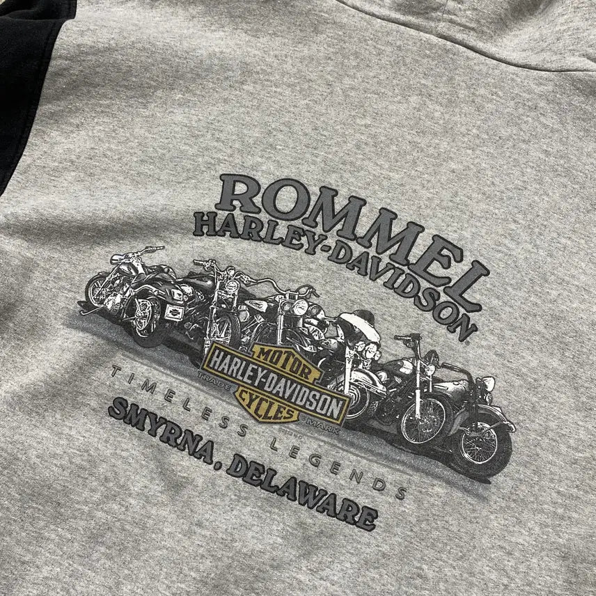 [BUNJANG] Harley-Davidson Hoodie Men's Medium / 할리 데이비슨 후드 (Man M)/[H1197]