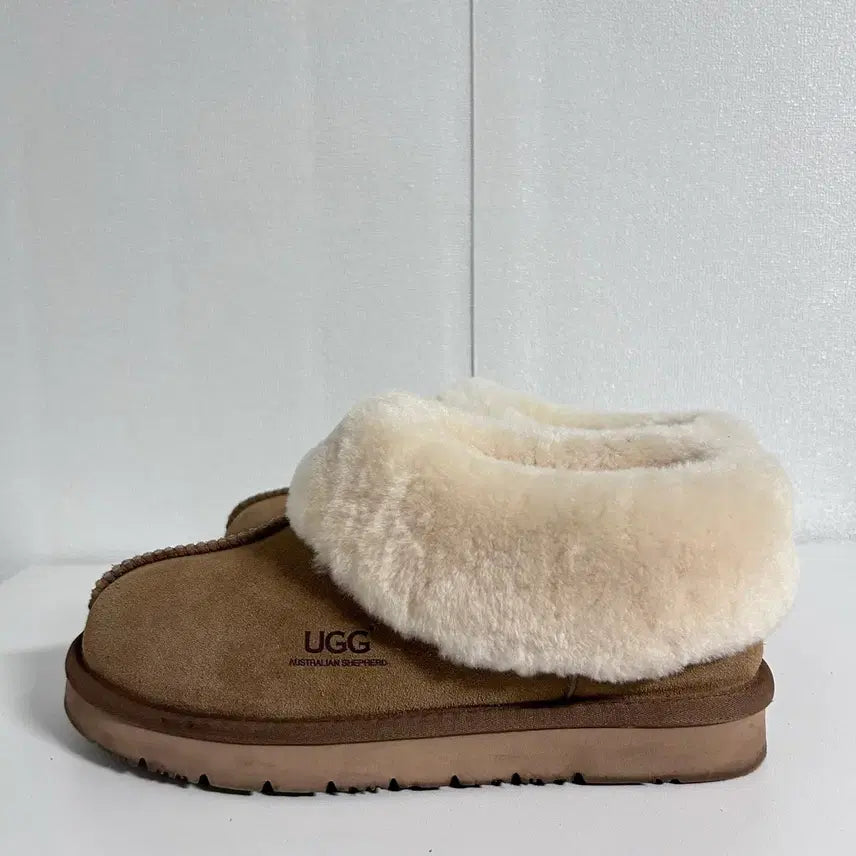 [BUNJANG] UGG Tazzlette Slipper EU40 / 어그 타제트 슬리퍼(eu40)