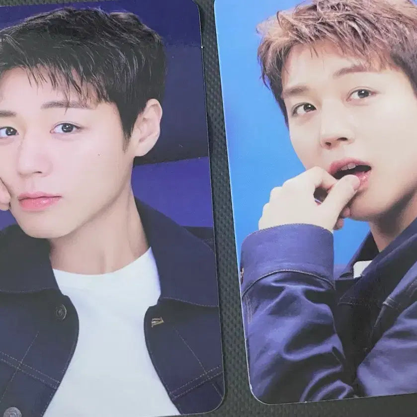 [BUNJANG] Park Jihoon MakePremium Photocard C Set / 박지박 메이크프렘 포카 C세트