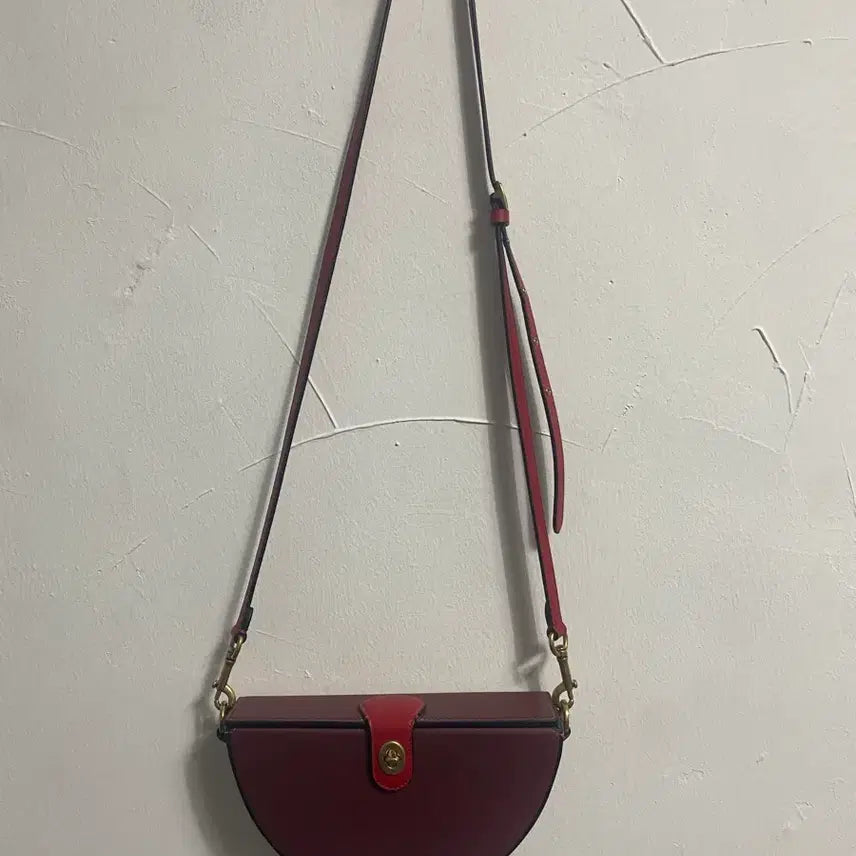 [BUNJANG] Coach New Year Semi Circle Bag / 코치 뉴이어 세미 서클 백