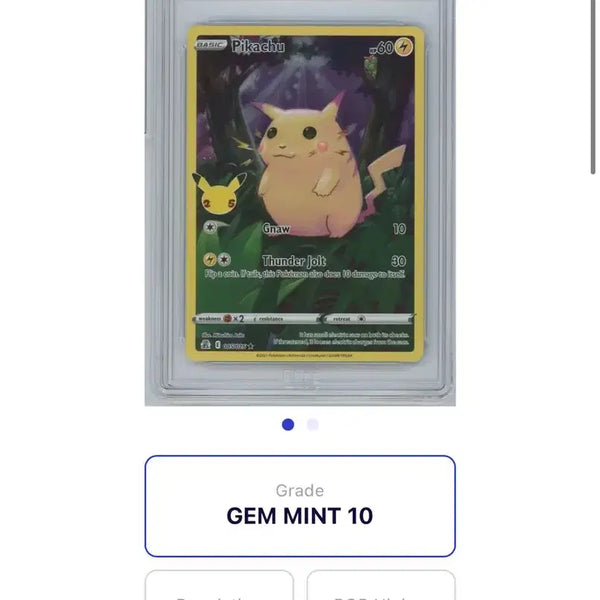 [BUNJANG] Jungle Pikachu Full Art (25th Anniversary Celebration) - PSA 10 Potential / 25주년 셀레브레이션 정글피카츄 풀아트 brg10