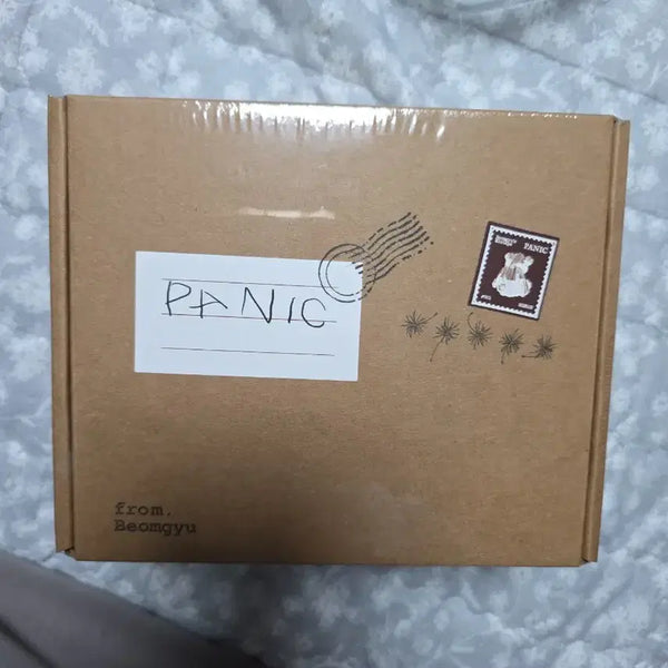 [BUNJANG] TXT Yeonjun Panic! At The Disco Album / 범규 Panic 앨범