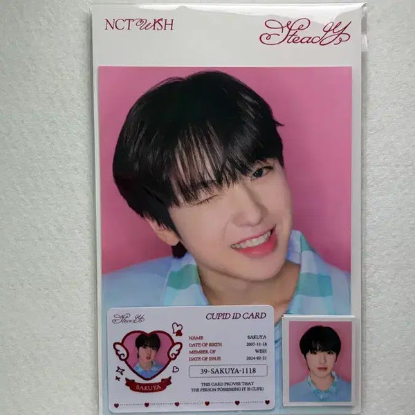 [BUNJANG] NCT WISH Sakuya Steady Cupid ID Card / NCT WISH 엔시티 위시 사쿠야 스테디 큐피드 아이디 카드
