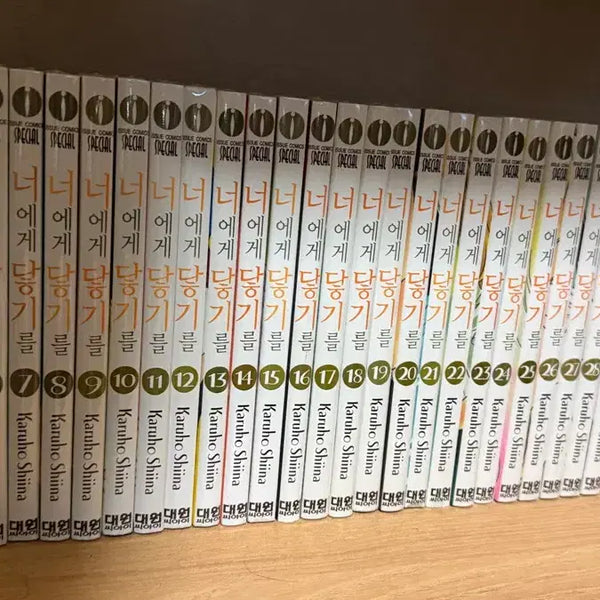 [BUNJANG] Kimi ni Todoke Complete Manga Set (Volumes 1-30 + Extras) / 너에게 닿기를 (전30권 + 번외편3권 완결) 판매