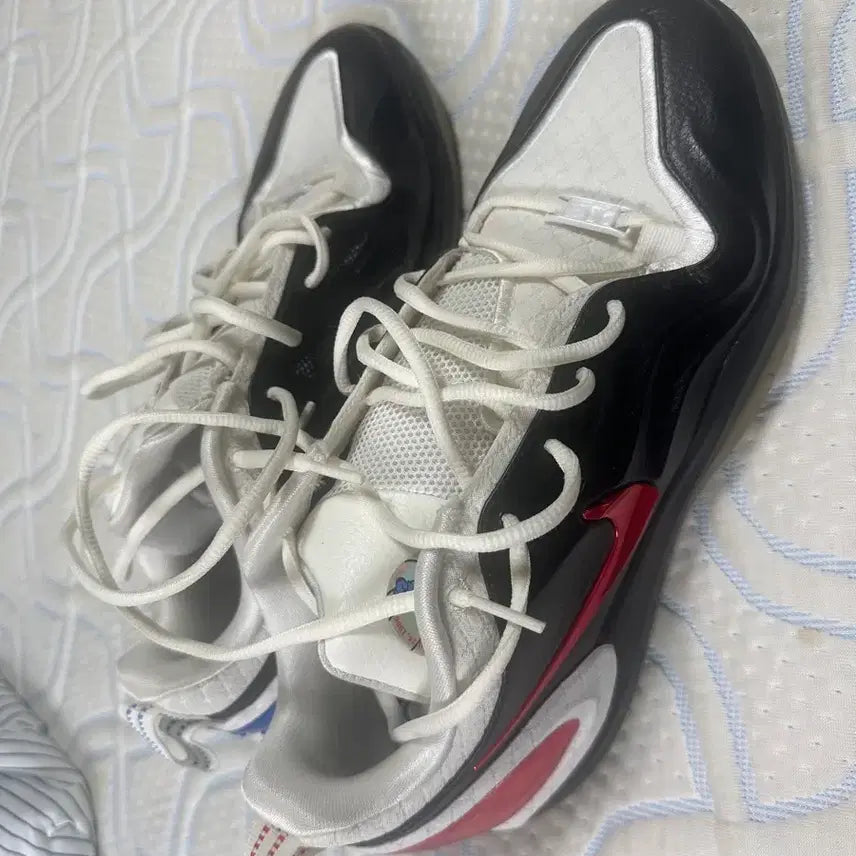 [BUNJANG] Nike Air Zoom GT Cut 2 Basketball Shoes / 나이키 에이투 농구화[285]