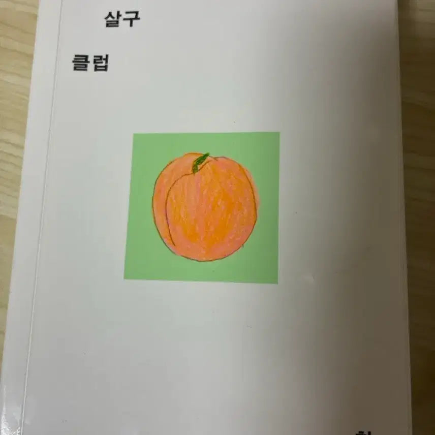 [BUNJANG] Grapefruit Apricot Club T-Shirt / 자몽 살구 클럽