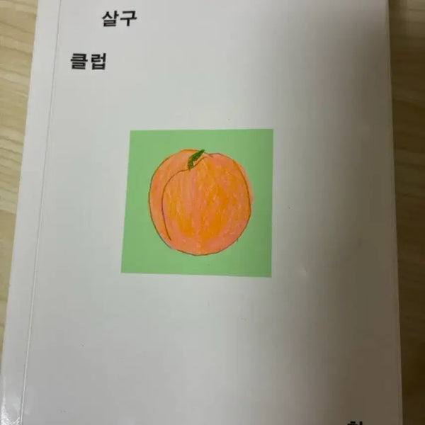 [BUNJANG] Grapefruit Apricot Club T-Shirt / 자몽 살구 클럽