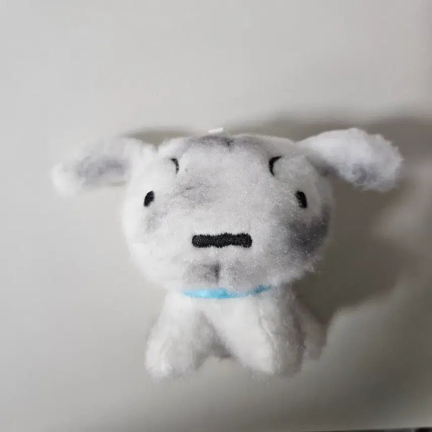 [BUNJANG] Crayon Shin-chan Crayon Shin-chan's Dog Shiro Plush Keychain / 짱구 꼬질꼬질 흰둥이 인형 키링