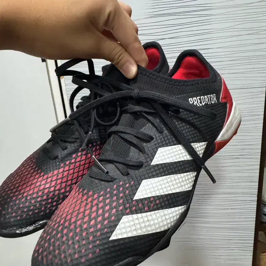 [BUNJANG] Adidas Predator Football Boots Size 255 / 아디다스 프레데터 축구화 255 급처