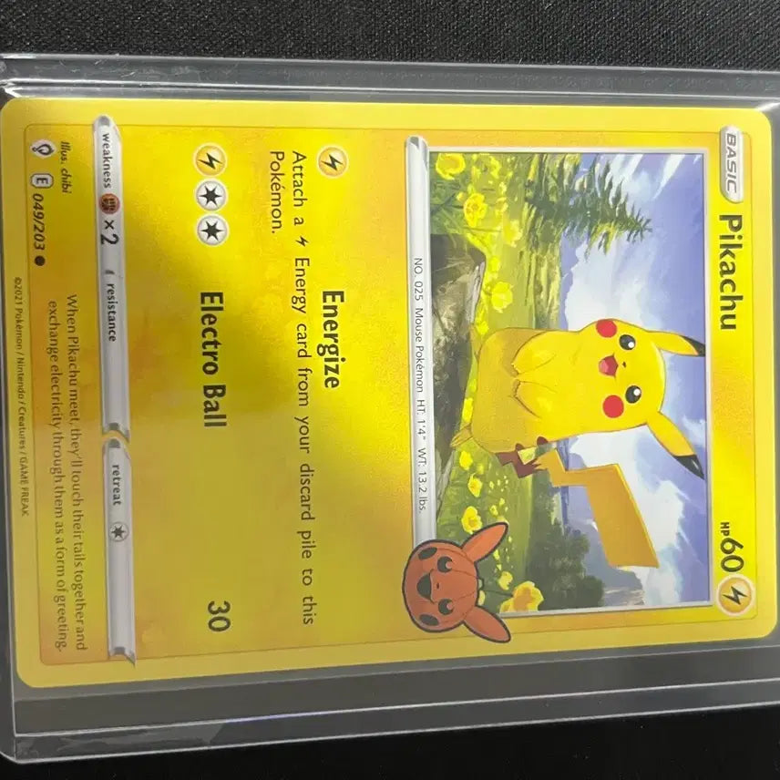 [BUNJANG] Pokemon 2022 Halloween Pikachu North America / (북미할로윈) 2022 할로윈 피카츄 판매합니다!! 상태 좋습니다 2