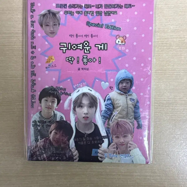 [BUNJANG] NCT Dream Jisung Quote Book / 엔시티 드림 지성 명언집 (푸딩님)