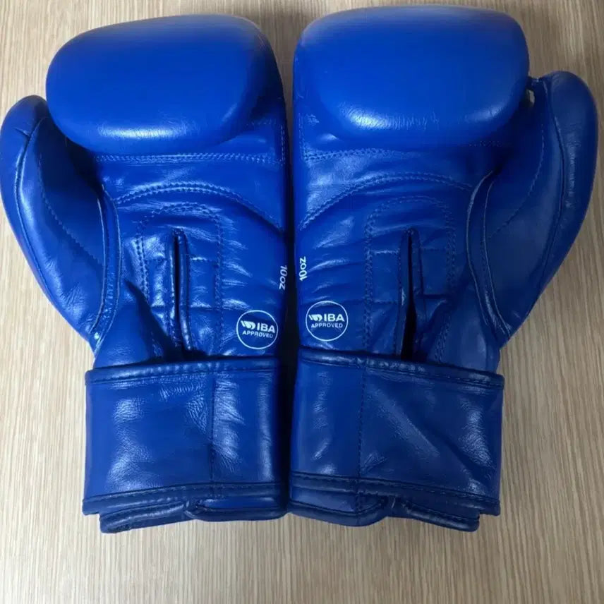 [BUNJANG] Aiba Gloves 10oz Boxing Gloves / 아이바글러브(10oz)