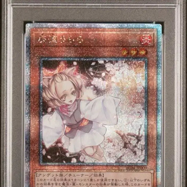 [BUNJANG] Yu-Gi-Oh! Haru Urara Quarter Century Secret Rare PSA 10 / 유희왕 하루 우라라 쿼싴 psa 10